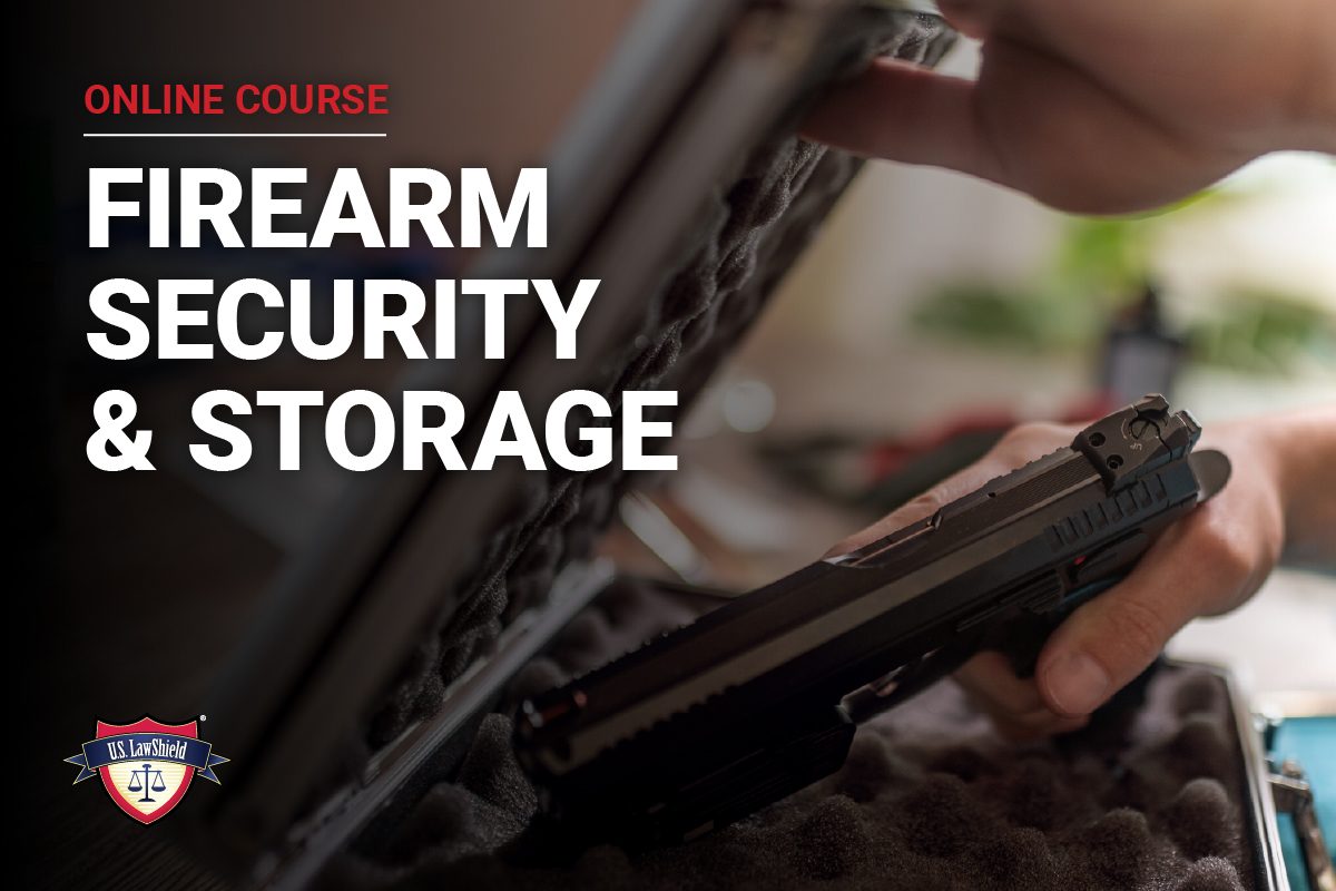 Firearm Security & Storage